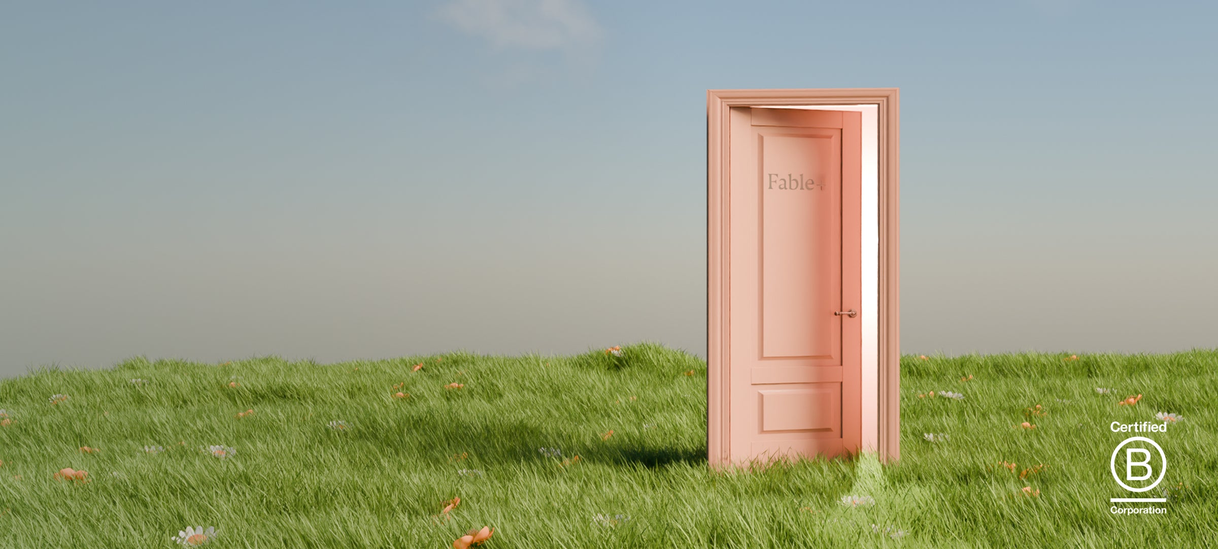A wooden door in a grassy field with a blue sky.