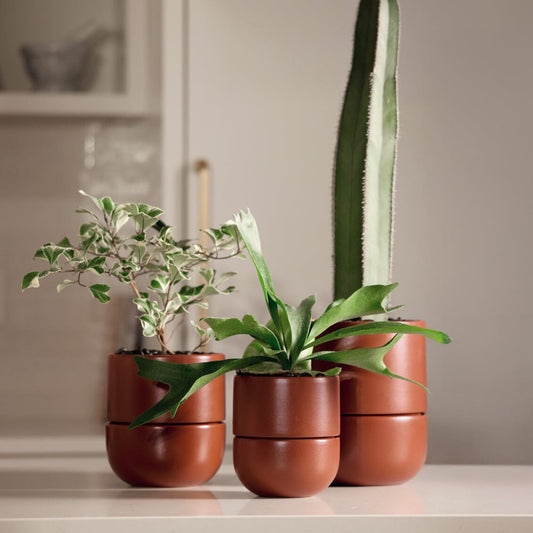 Medium planter planters by Fable Home, shown in a medium/burntsienna finish. – #medium/burntsienna