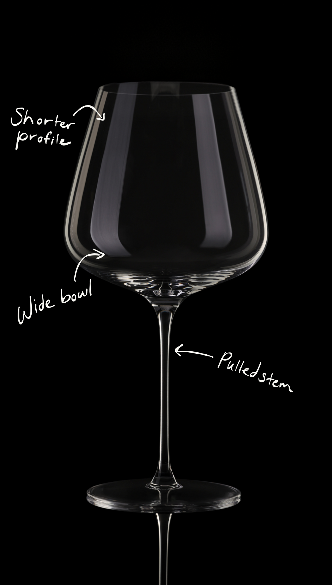 Pinot Noir Glasses