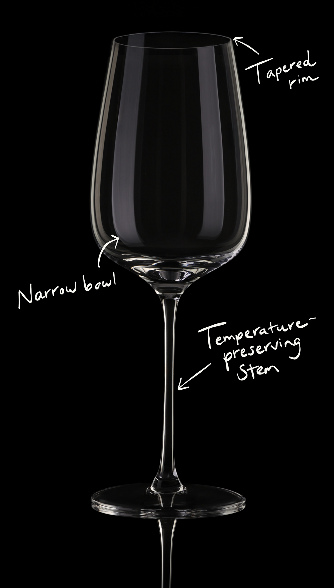 Sauvignon Blanc Glasses