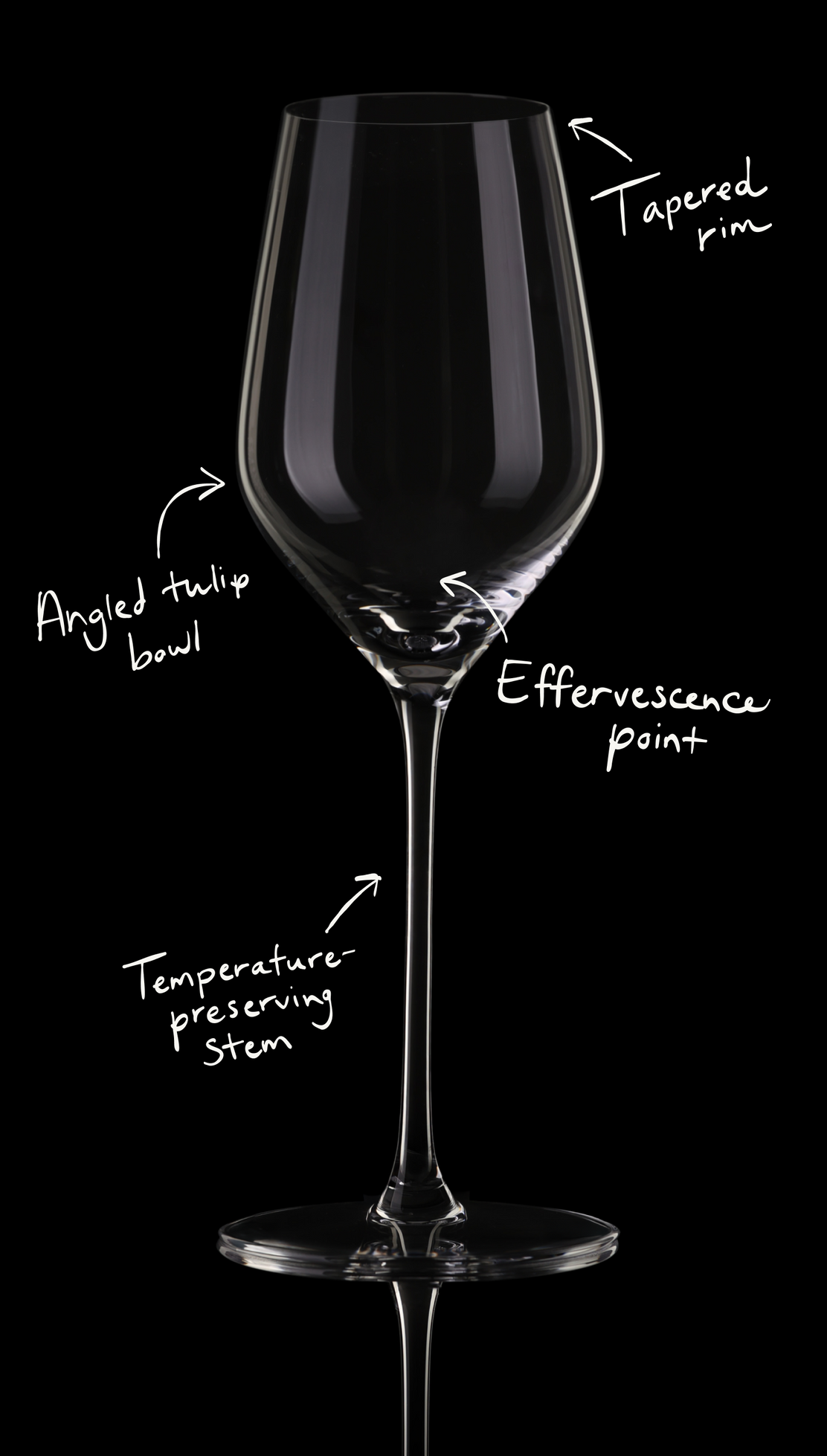 Sparkling Glasses