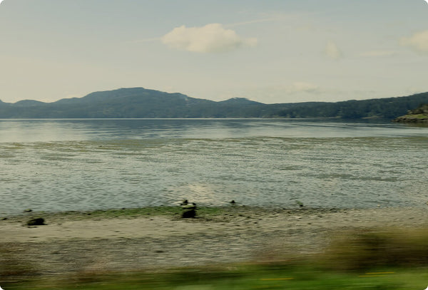 WE’RE A Certified B corp image