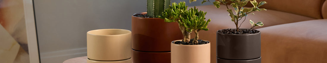 Plantersbanner