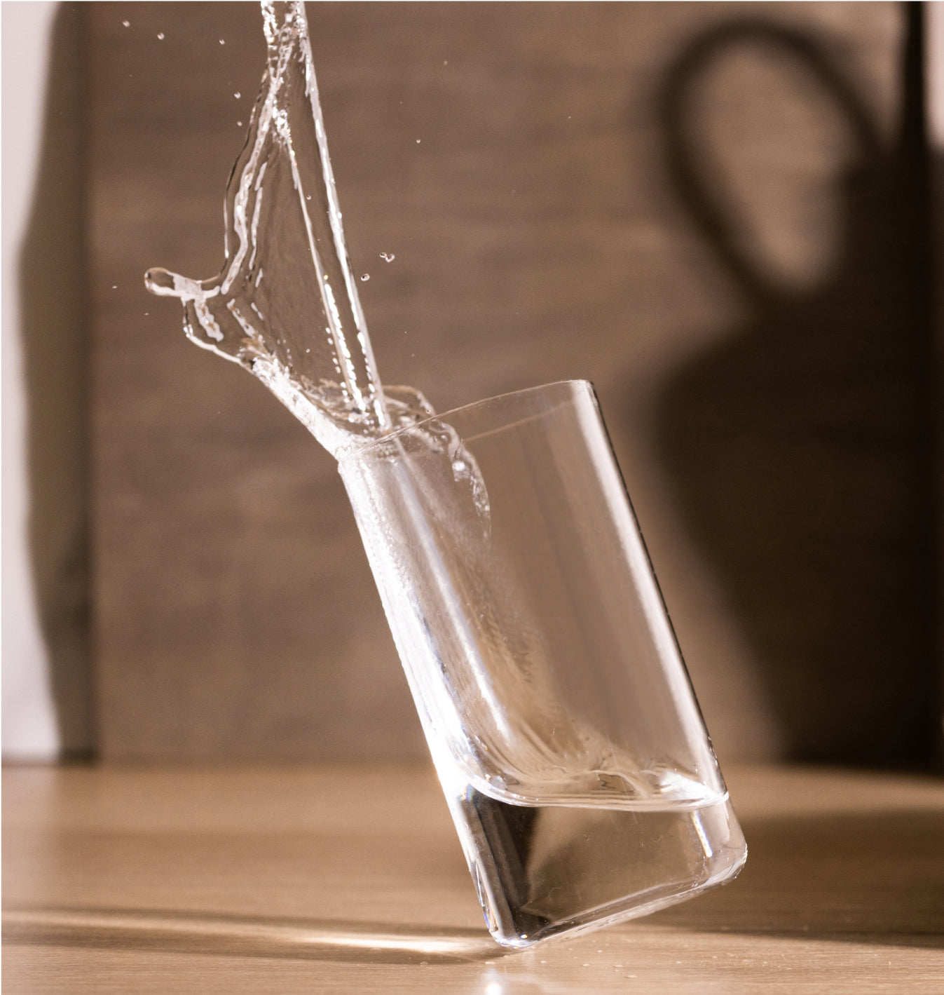 Beautiful Dinnerware Nothing to Hide | Fable Home