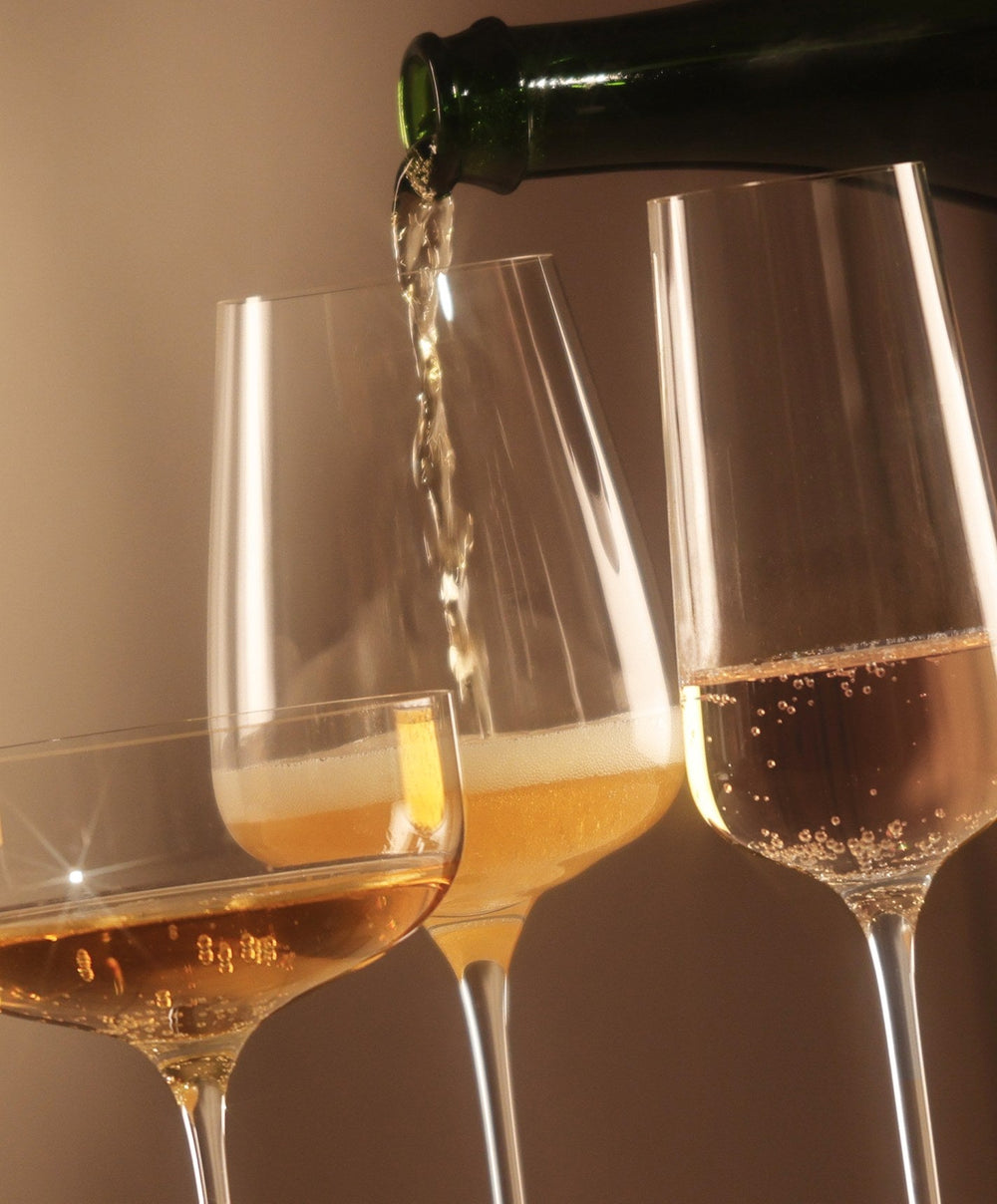 Stemware Set Pro by Fable Home, shown in Clear.