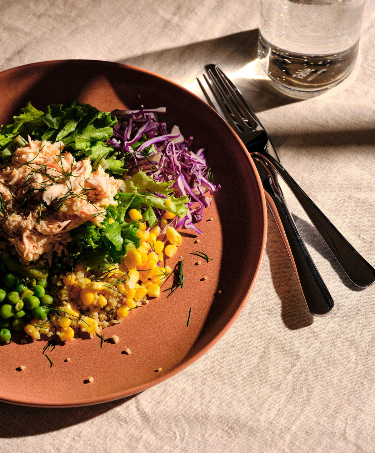 Dinner Plates by Fable Home, shown in Canyon Clay.