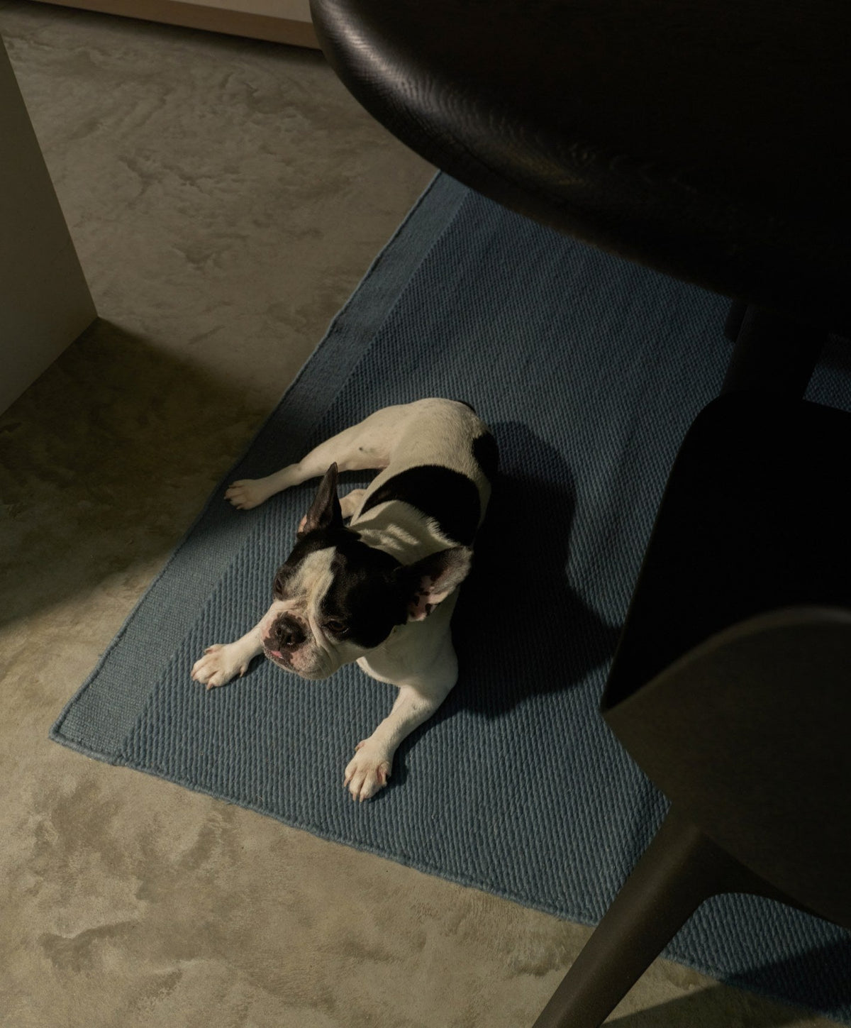 Wool Rug by Fable Home, shown in Seaside Blue.