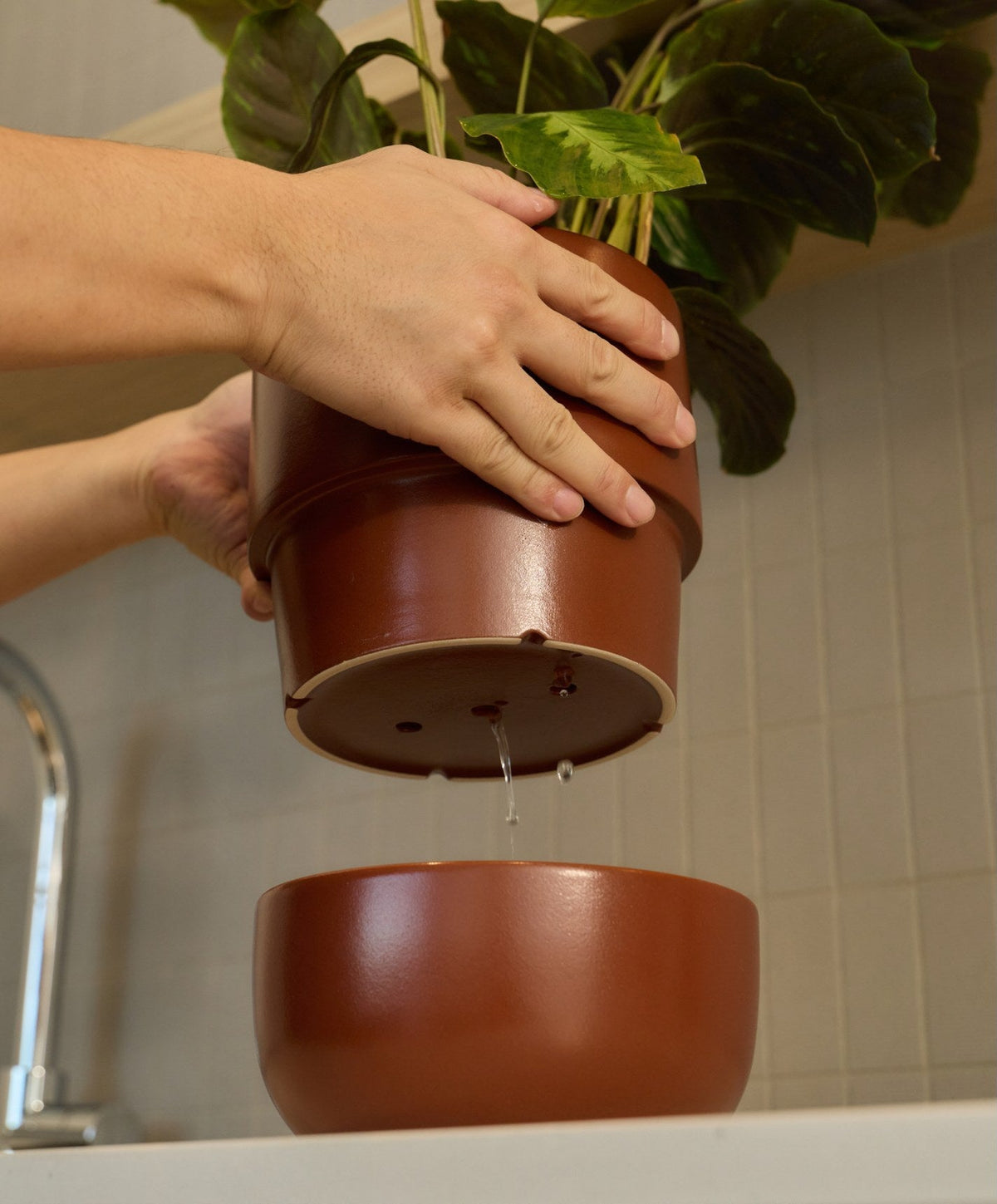 Large Planter by Fable Home, shown in Burnt Sienna.