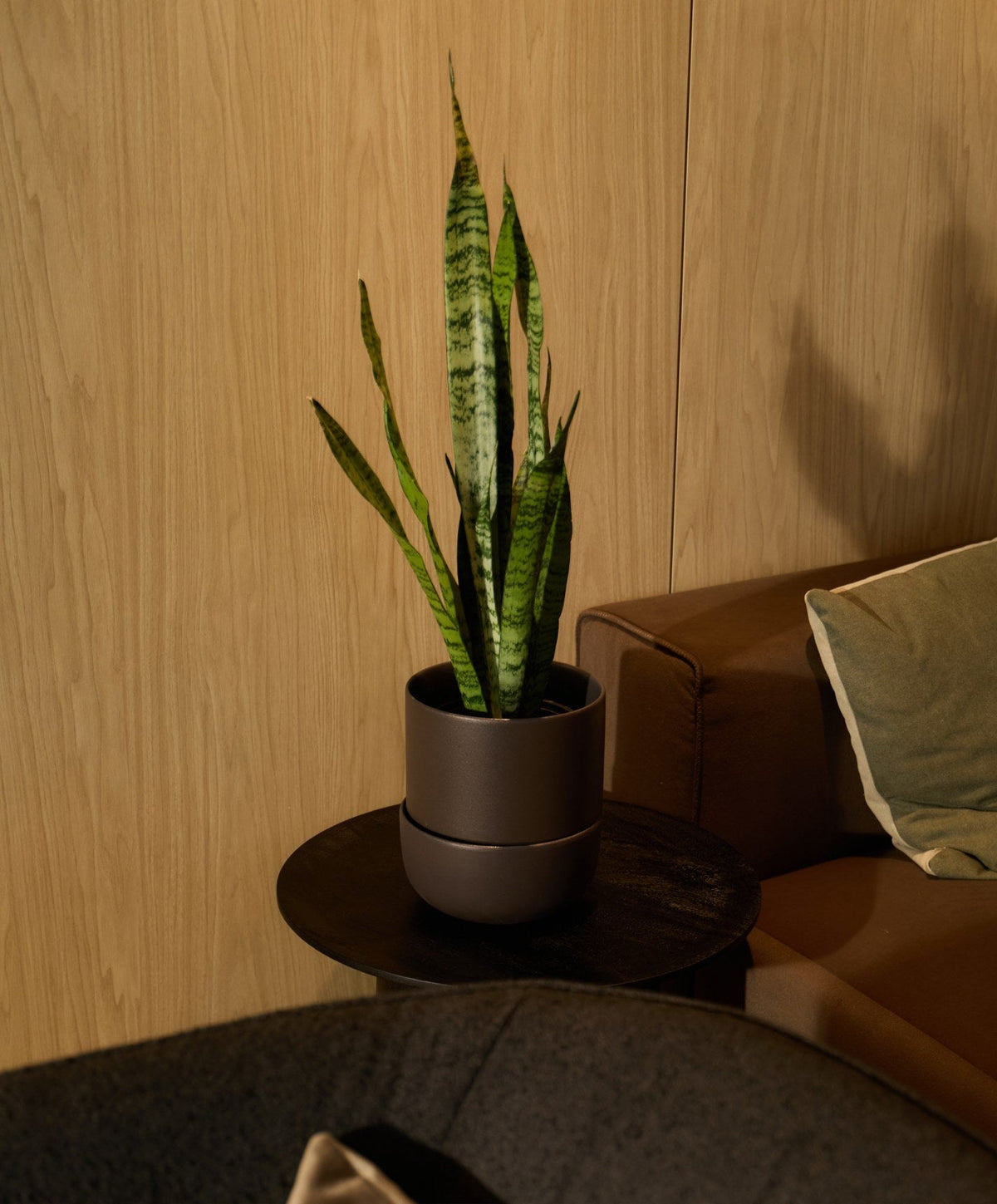 Large Planter by Fable Home, shown in Granite Gray.