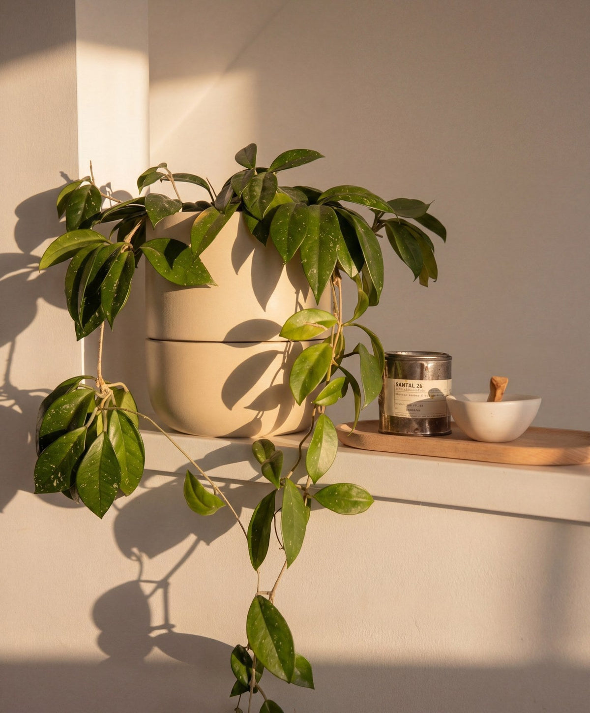 Large Planter by Fable Home, shown in Coastal Cream.