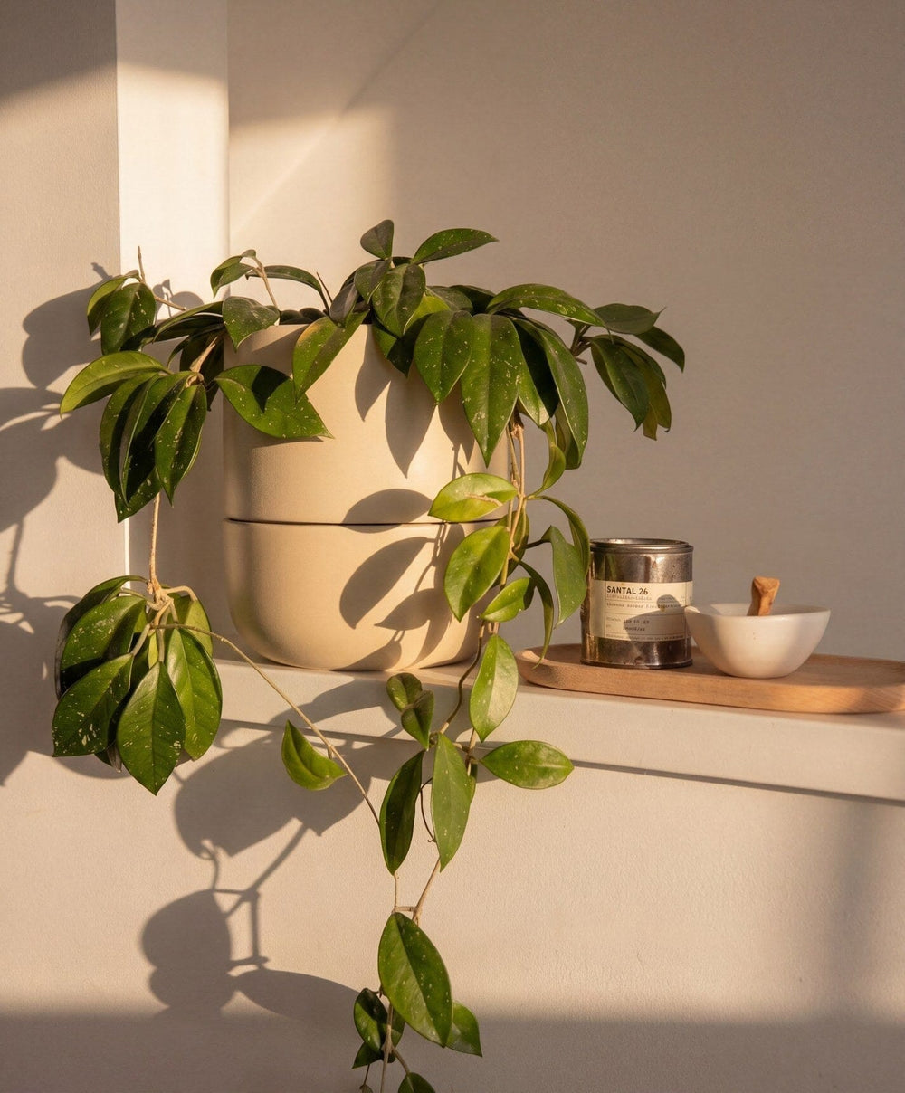 Planter Set by Fable Home, shown in Coastal Cream.