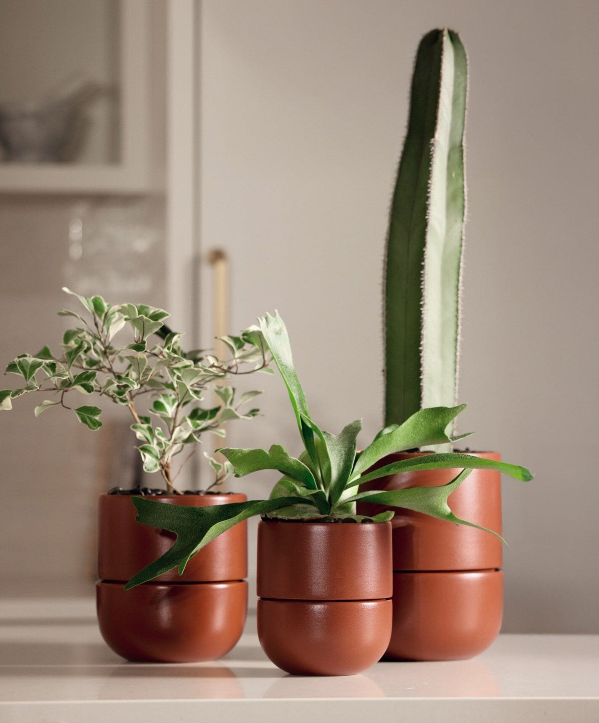 Planter Set by Fable Home, shown in Burnt Sienna.
