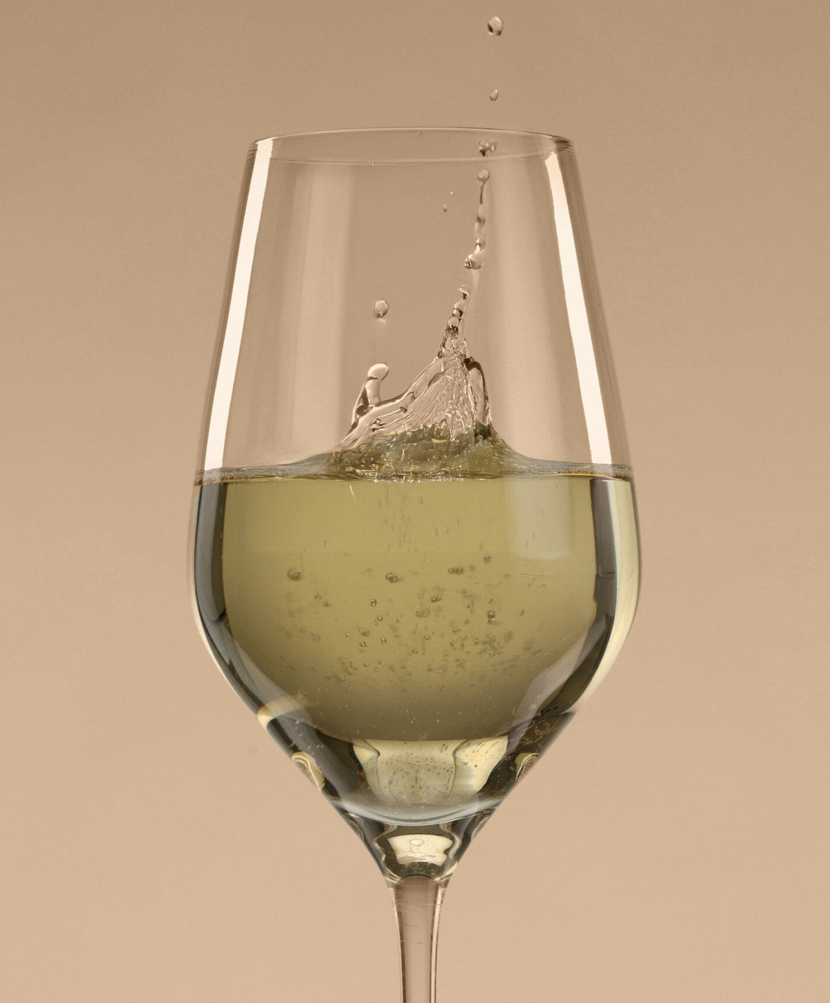 Toasting Set Pro by Fable Home, shown in Clear.
