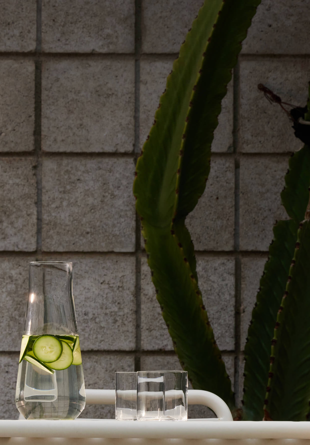 Dining area with a table, chairs, and a cactus against a tiled wall.