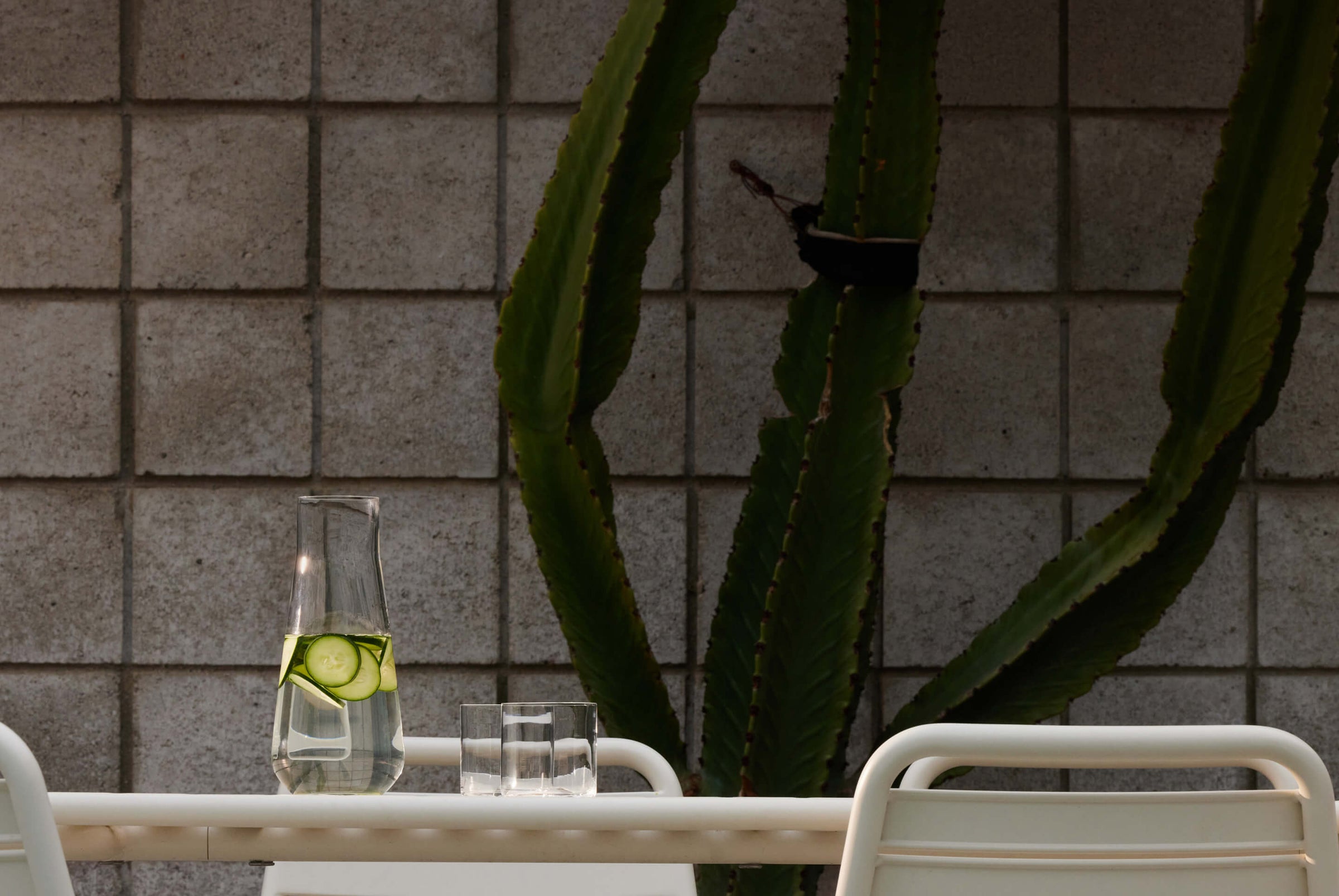 Dining area with a table, chairs, and a cactus against a tiled wall.